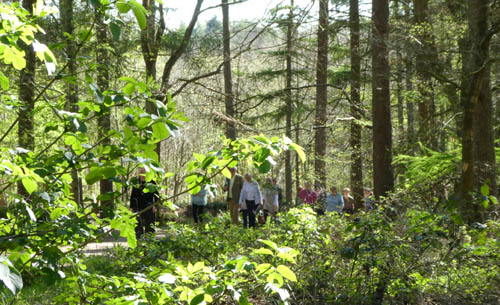 GreenAcres at Beaconsfield