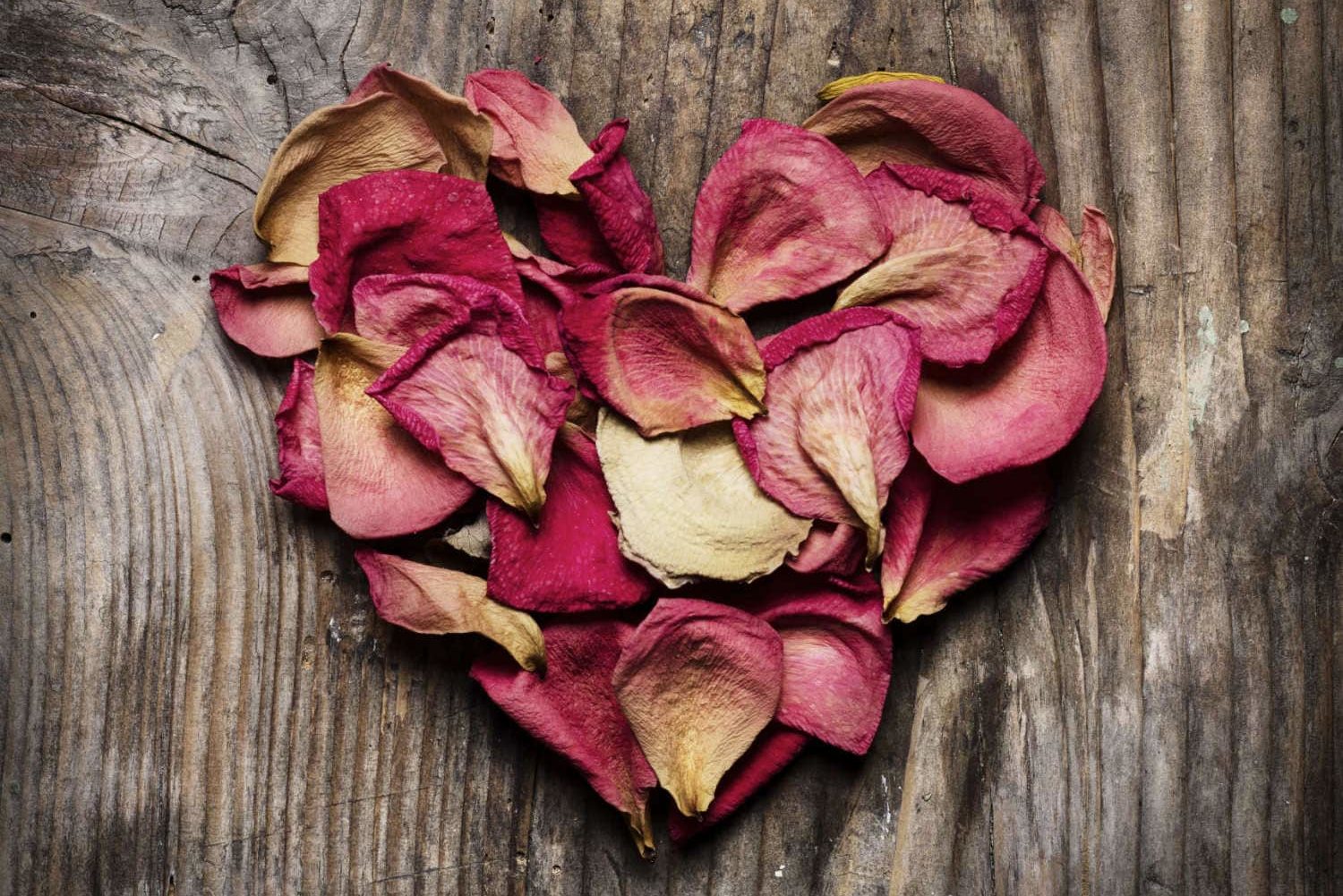 Rose petals in heart shape